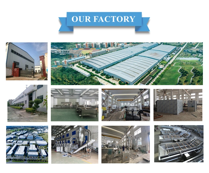 Fish Fruit Vegetable Dryer Processing Equipment Strawberry and Mango Hot Air Circulating Drying Oven
