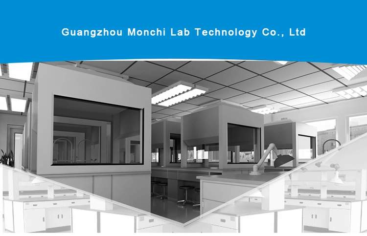 Chemical Resistant Laboratory Fume Hood Lab Equipment