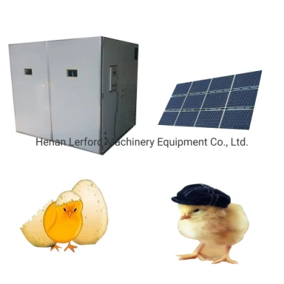Incubateur de poulet entièrement automatique oeufs à couver incubateur d'oeufs d'oie d'oiseau de poulet à énergie solaire